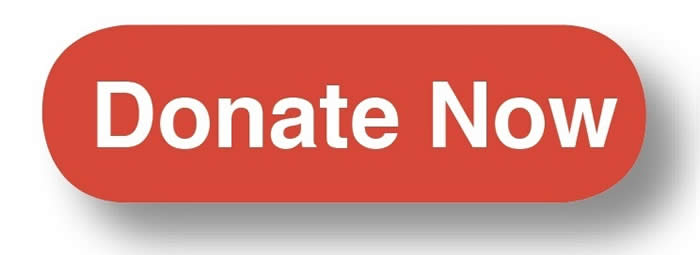 donate-now